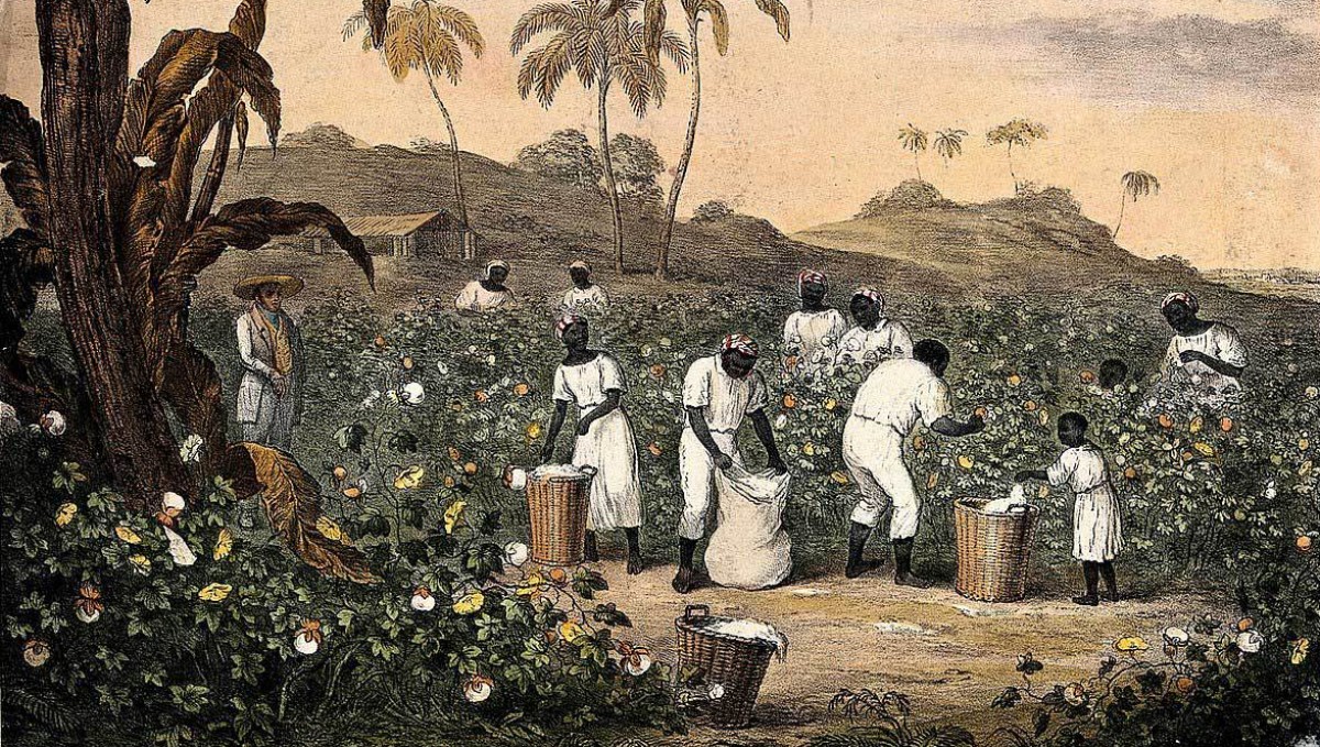 The Slave Trade: Echoes of Immortal Suffering