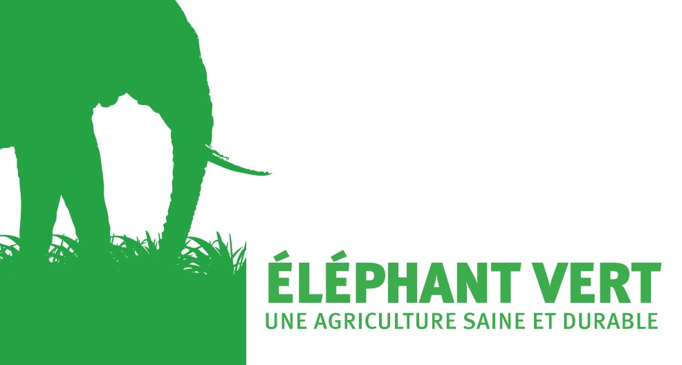 Eléphant Vert lancera 3 unités de production au Maroc