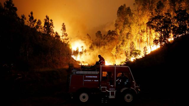 Portugal : Le bilan de l'incendie monte à 62 morts, 21 feux à éteindre