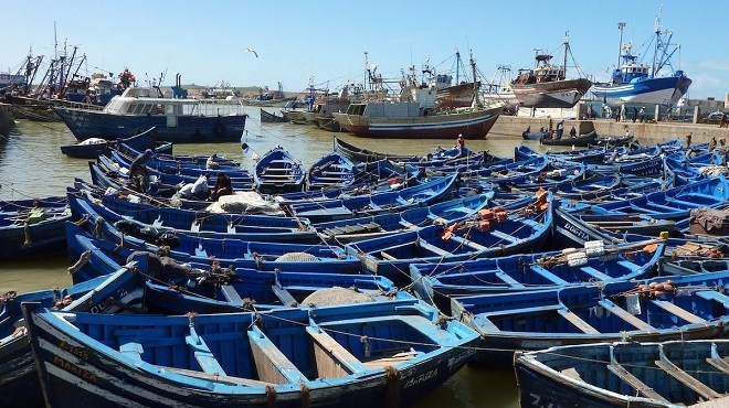 Pêche côtière et artisanale : Les débarquements en baisse à fin janvier