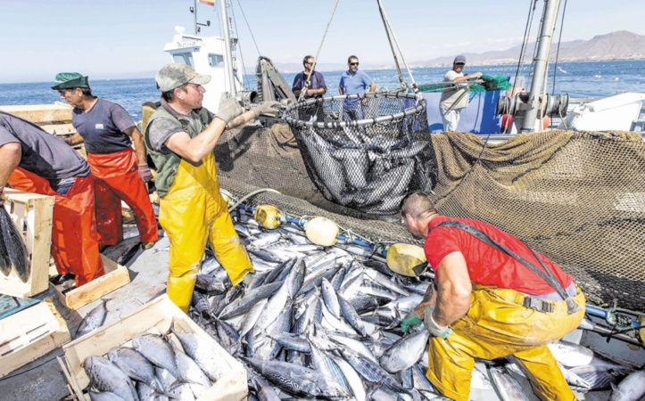 Accord de pêche Maroc-UE : Jamais sans le Sahara