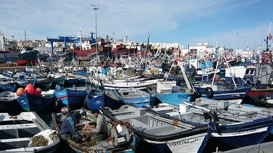 Pêche côtière et artisanale : Les débarquements en baisse