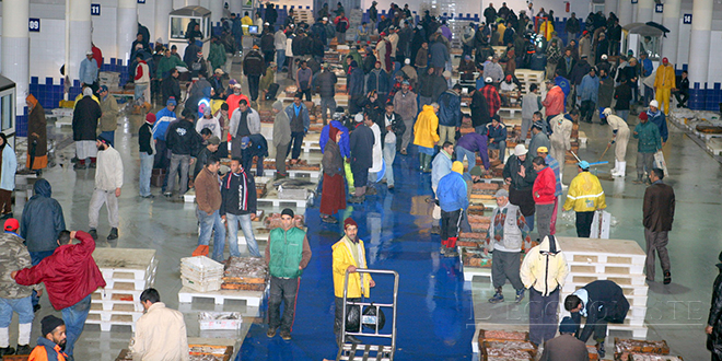 Rabat : Le nouveau marché de gros au poisson opérationnel