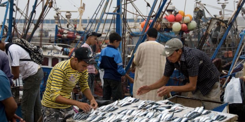 Pêche artisanale : Recul des débarquements à fin mars