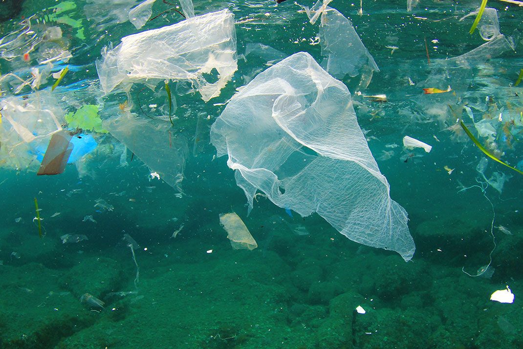 Le WWF alerte sur la Méditerranée, devenue "une mer de plastique"