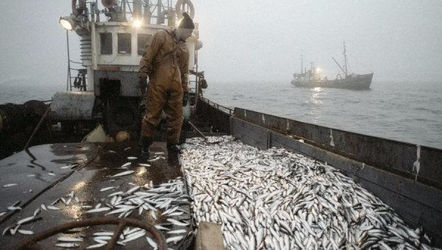 Accord de pêche Maroc – UE : Appel à la mobilisation