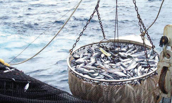 Le Parlement européen adopte l'accord de pêche Maroc-UE