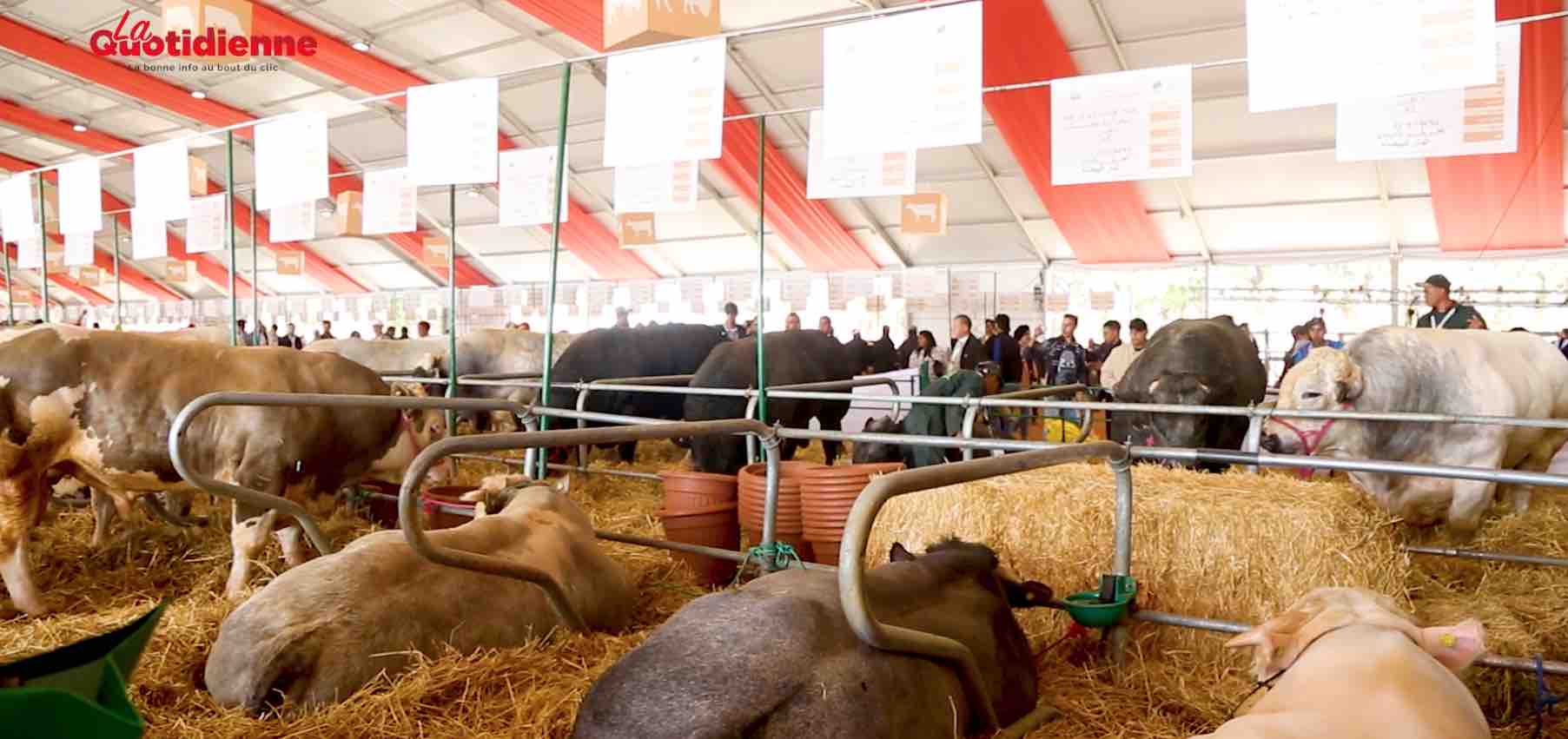 SIAM 2019 : Au cœur du Salon international de l’agriculture au Maroc (Ep.3)