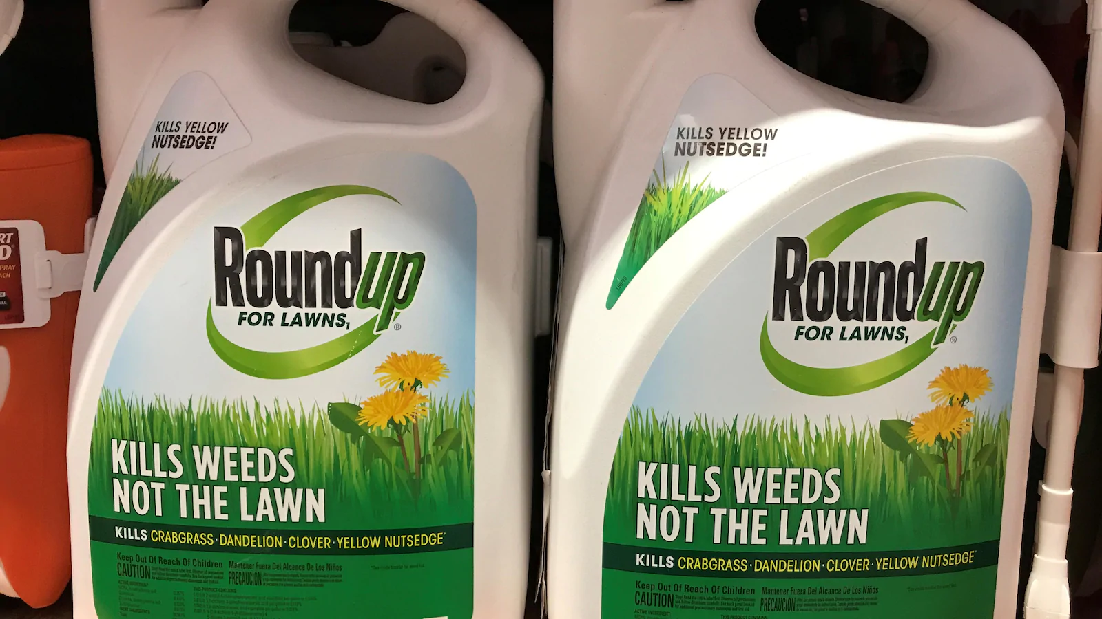 Herbicide Roundup : Bayer condamné à payer 2 milliards de dollars de compensation à un couple