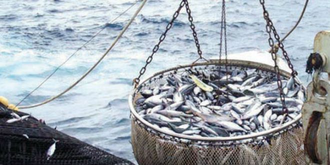 Le projet de loi sur l'accord de pêche Maroc-UE adopté par le Parlement