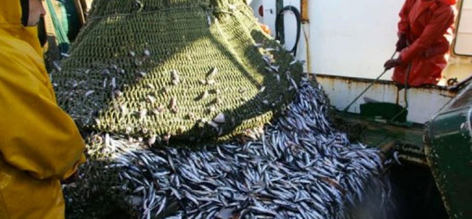 Accord de pêche Maroc-UE : Les premières licences bientôt délivrées