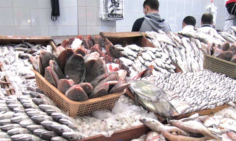 Tanger se dote d'un nouveau marché de gros au poisson