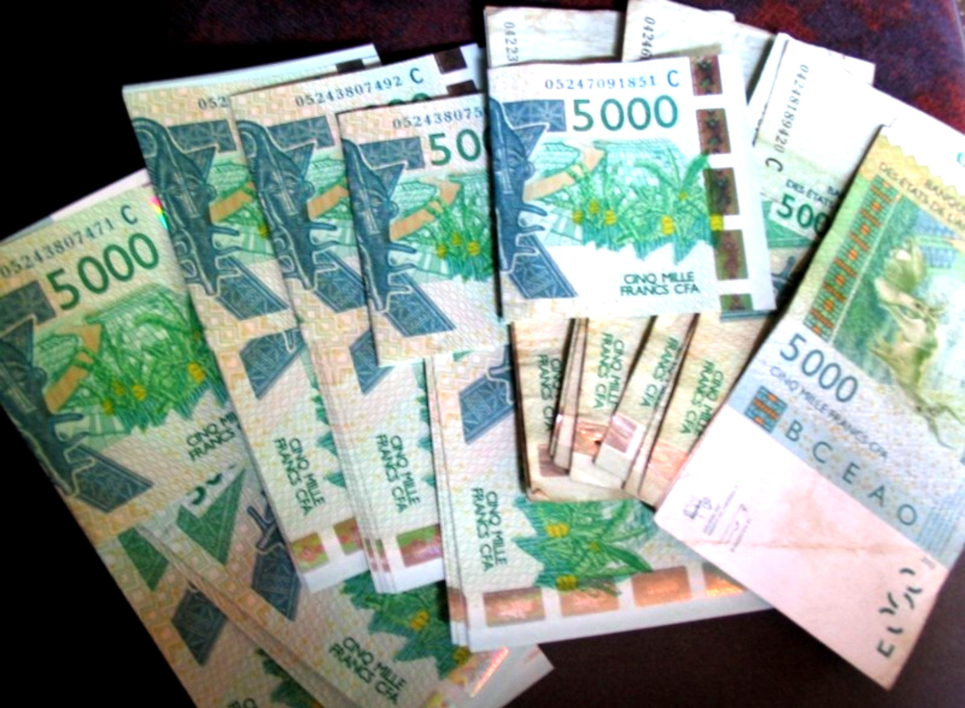 CEDEAO : Nouvelle «étape décisive» vers la monnaie unique