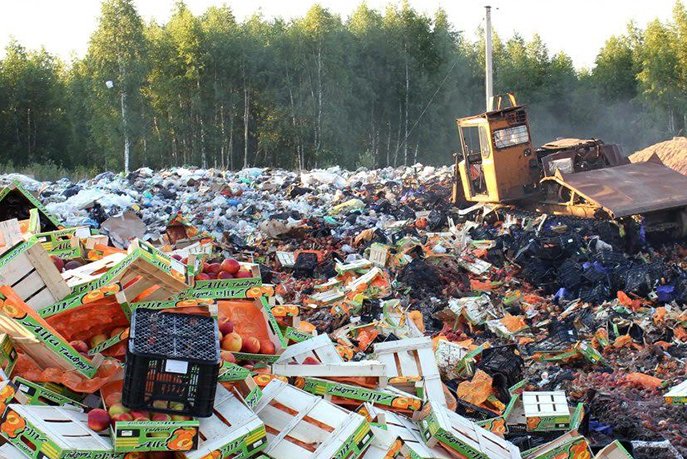 ONSSA : Destruction de près de 5.000 tonnes de produits alimentaires impropres à la consommation