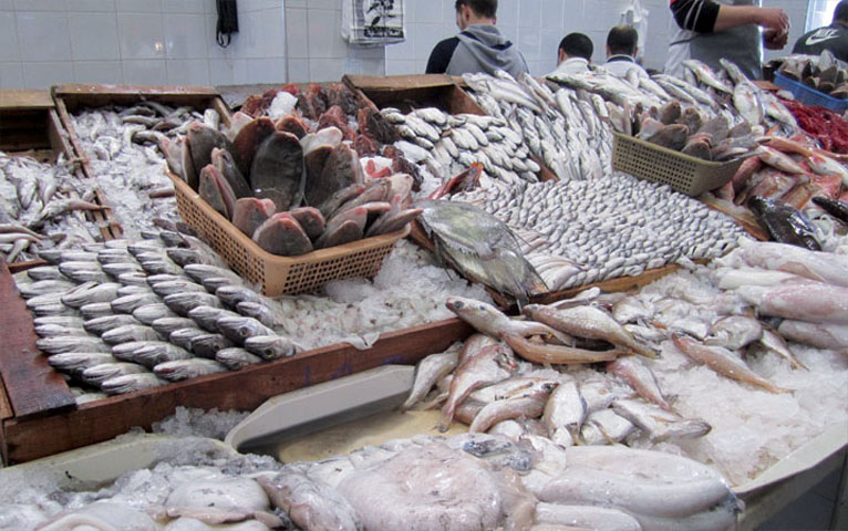 Casablanca/Marché de gros au poisson : Une fermeture problématique