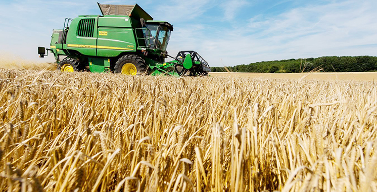Campagne agricole 2019-2020 : Une baisse des récoltes aux conséquences lourdes