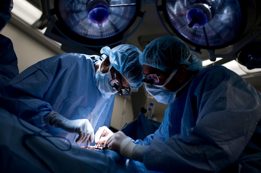 Don d'organes au Maroc : 630 transplantations rénales en 34 ans