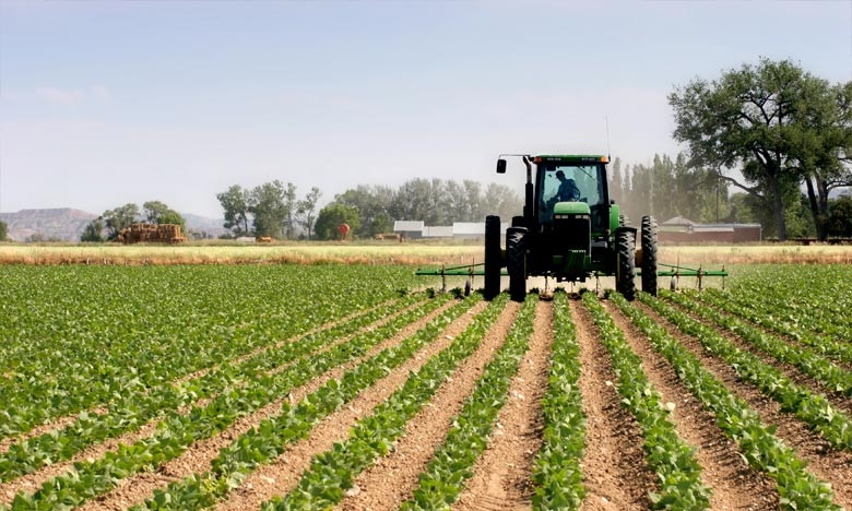 Saison agricole 2020-2021 : 1,6 million de quintaux de semences disponibles