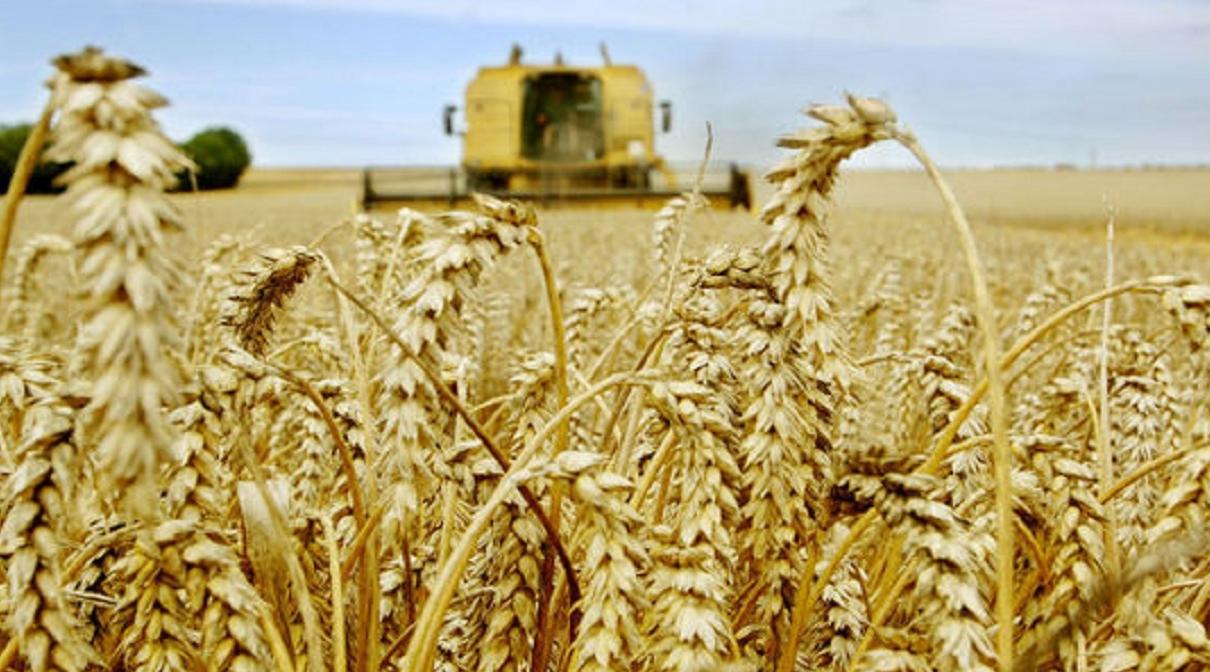 Crédit Agricole du Maroc mobilise 8 Mds de DH pour la campagne agricole 2020/2021