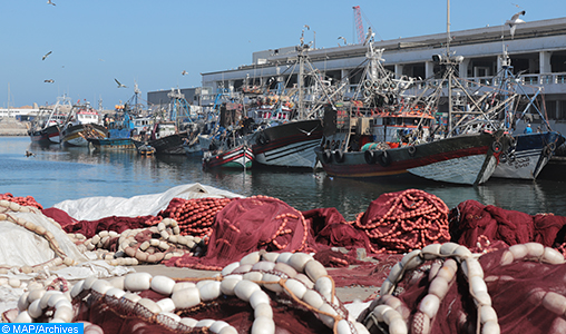 Pêche côtière et artisanale : Repli de 4% des débarquements à fin septembre