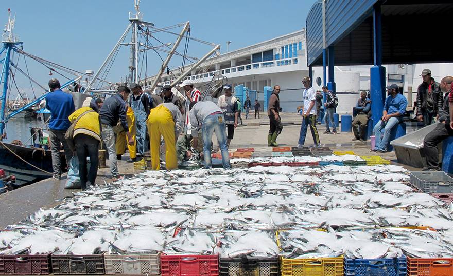 Maroc/Russie: Signature d'un nouvel accord de coopération en matière de pêche maritime