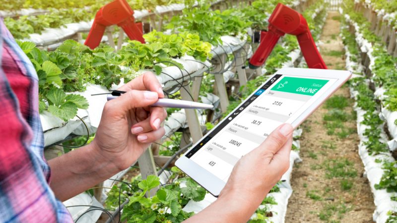 OCP : AgriEdge lance une application mobile pour promouvoir l’irrigation de précision