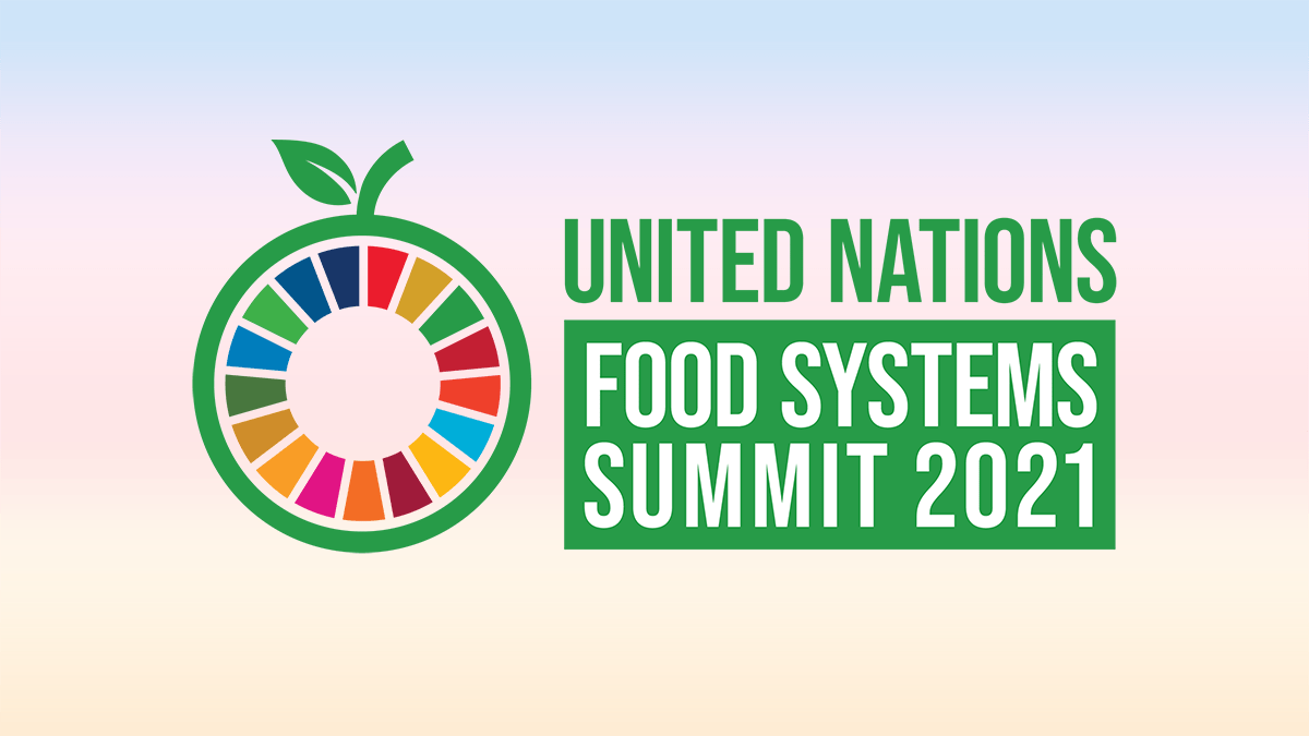 Sommet sur les systèmes alimentaires : Le Maroc plaide pour une approche respectueuse de l'environnement