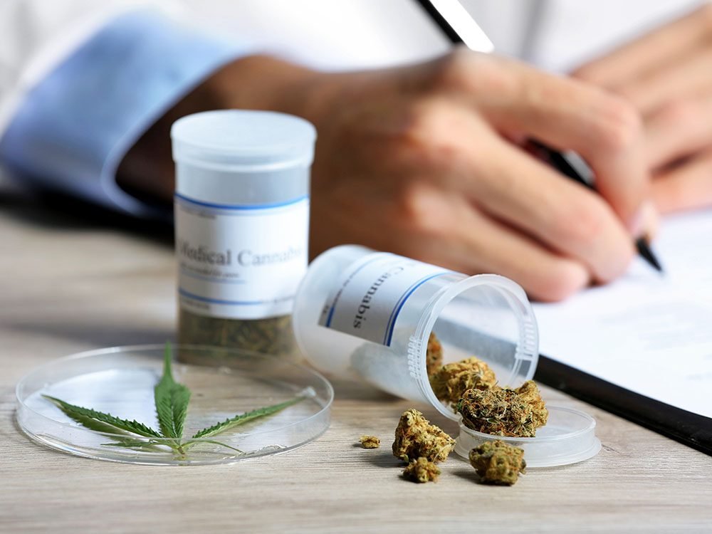 Cannabis médical: Le revenu net annuel pourrait atteindre les 110.000 DH/Ha