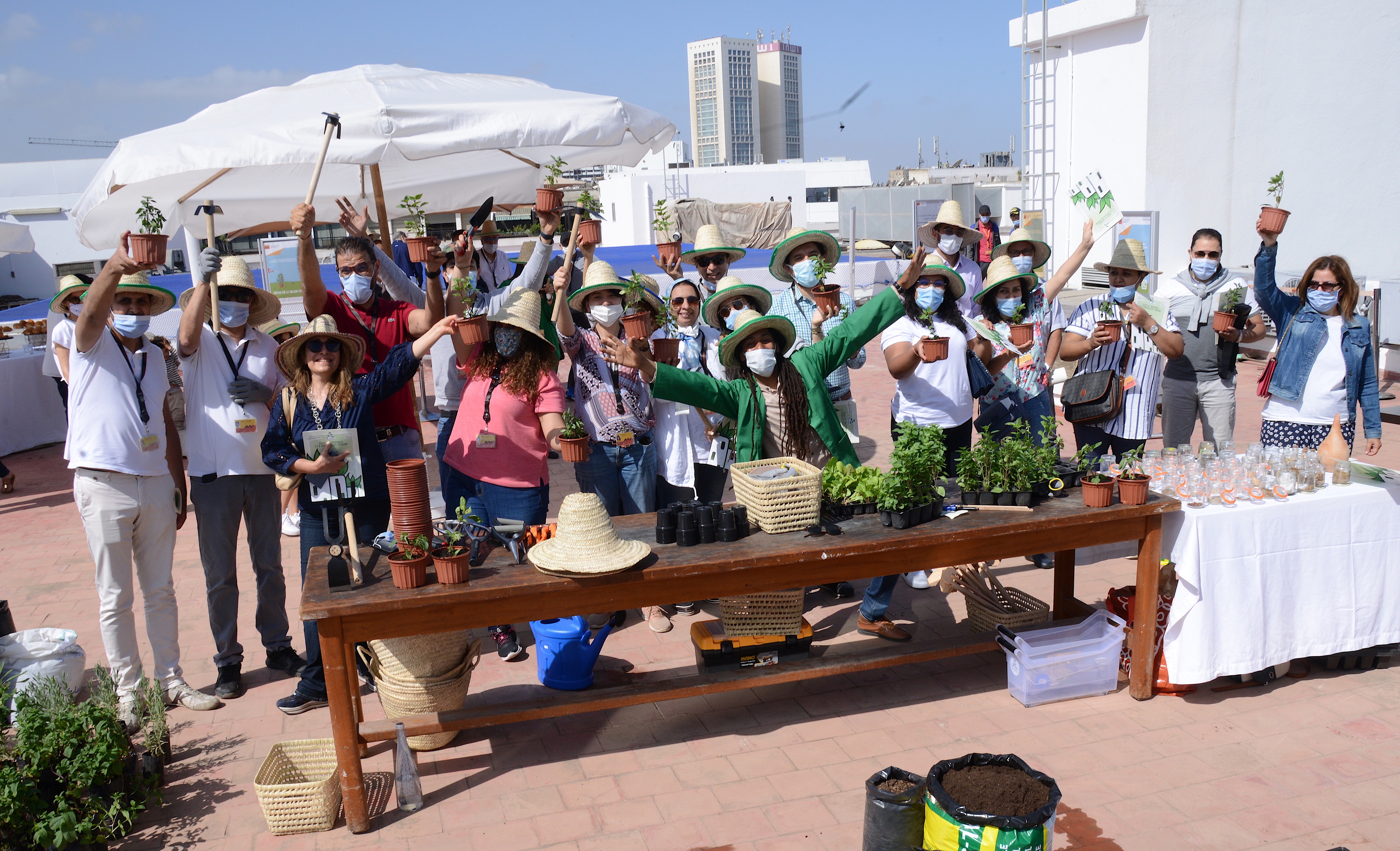 Journée mondiale de l’environnement : Attijariwafa bank initie ses collaborateurs à l’agriculture urbaine