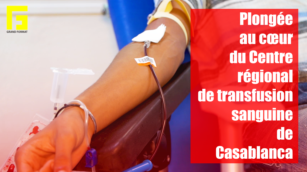 VIDEO. Plongée au cœur du Centre régional de transfusion sanguine de Casablanca