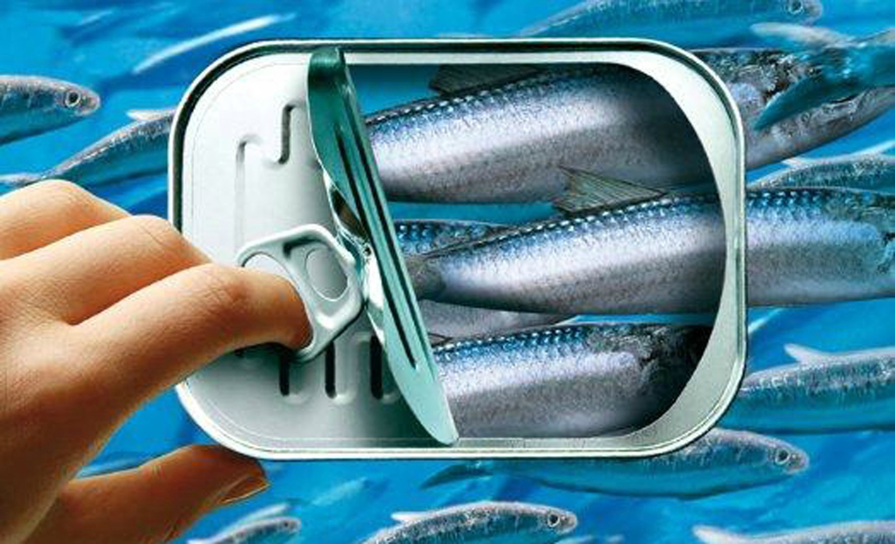 Industrie de la conserve de poissons :  L'UNICOP tire la sonnette d'alarme