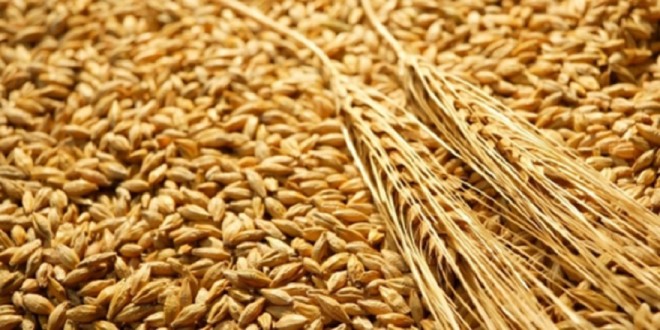 Céréales : Sadiki annonce des mesures pour limiter la tension sur les prix