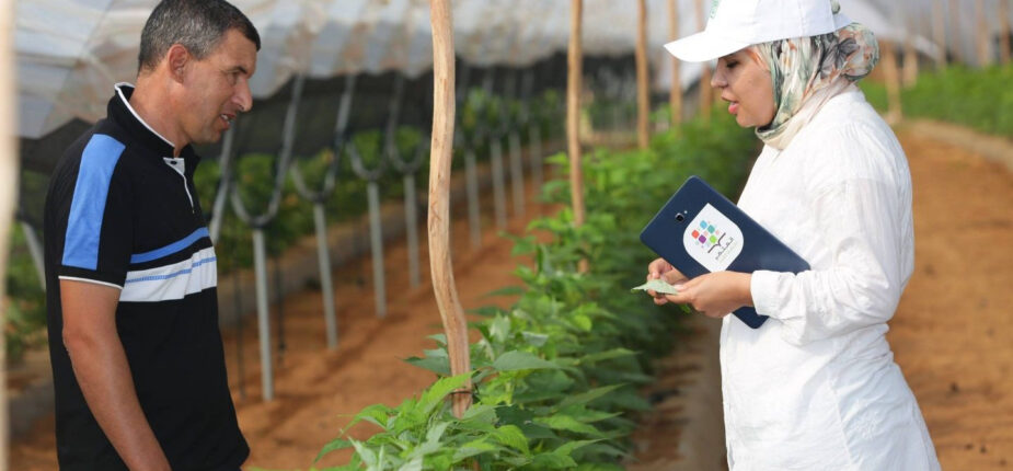 OCP: Le programme Al Moutmir a accompagné 50.000 agriculteurs en 3 ans
