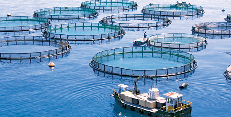 Forum de l’aquaculture : Voici les principales promesses de la deuxième édition