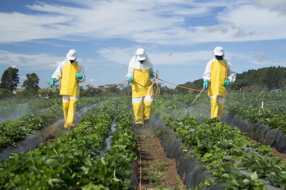 Utilisation excessive des pesticides en agriculture : Quid du contrôle ?