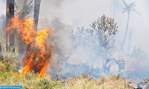 Incendies dans le nord: Près de 9.200 hectares brûlés, mise en place de cellules dédiées