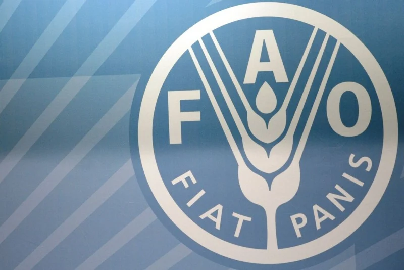 FAO: Les prix mondiaux des produits alimentaires ont poursuivi leur repli en décembre