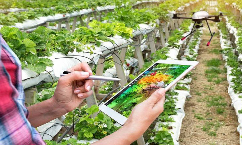 e-Services agricoles : Le Maroc veut connecter 2 millions d’agriculteurs et d’usagers à l’horizon 2030