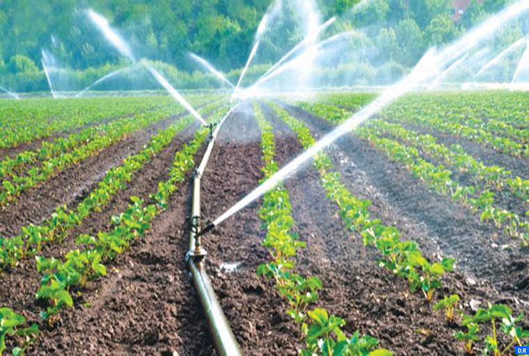 Le Maroc accueille la 10ème Conférence internationale sur la micro-irrigation