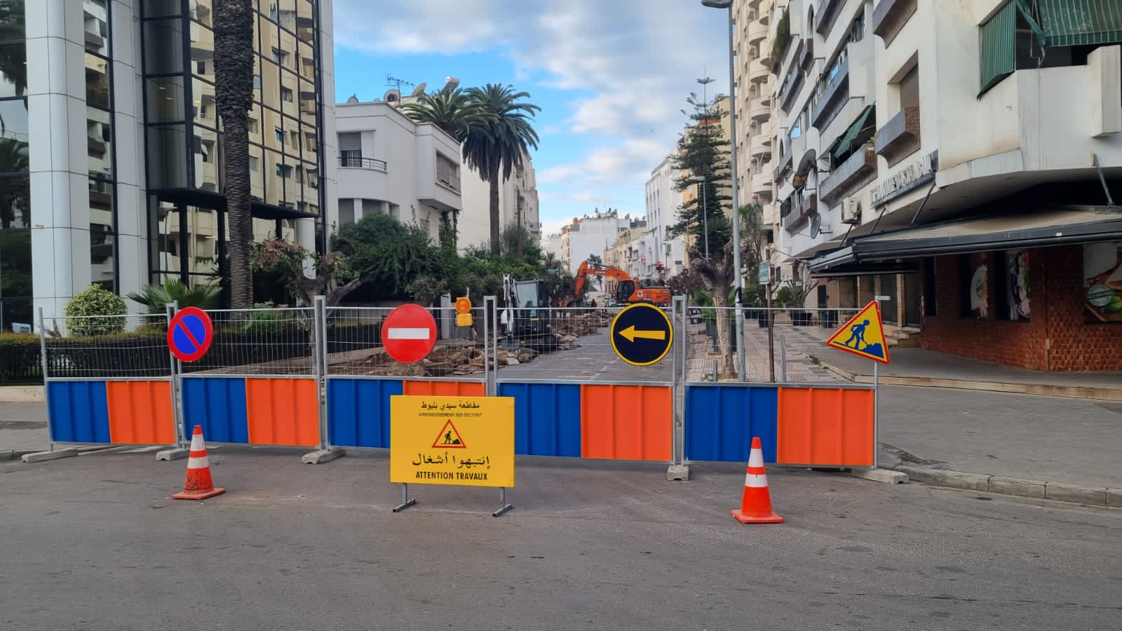 Transplantation d'arbres sur l'avenue Souktani :  Les autorités de Casablanca s’expliquent