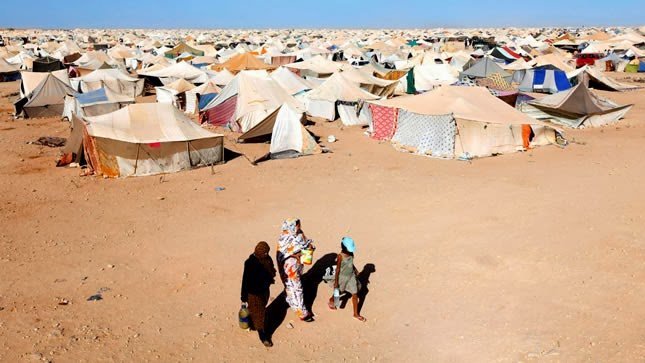 Camps de Tindouf : Un nid à gangsters