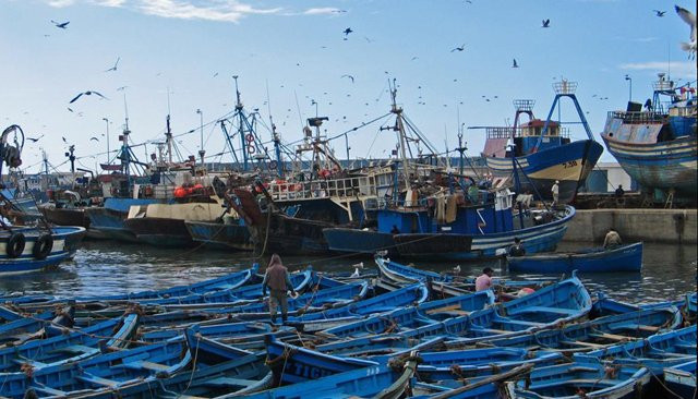 Pêche : Hausse des débarquements de 9% à fin mars
