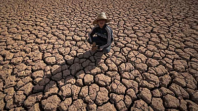 Le Maroc a connu l'année agricole la plus sèche depuis au moins 40 ans