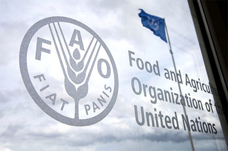 Le Maroc élu membre du Conseil d’administration de la FAO