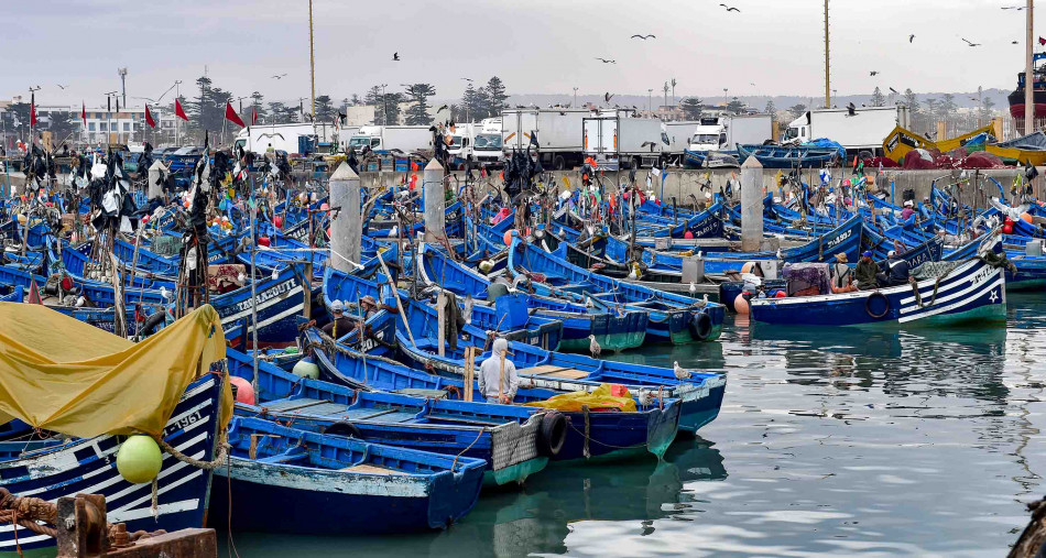 Booking essaouira fishing port