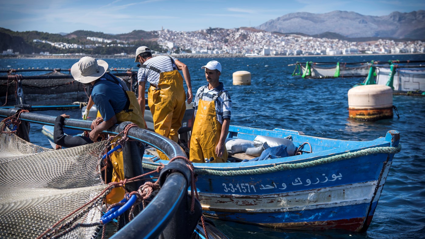 Pêche côtière et artisanale : Les débarquements reculent de 16% à fin août