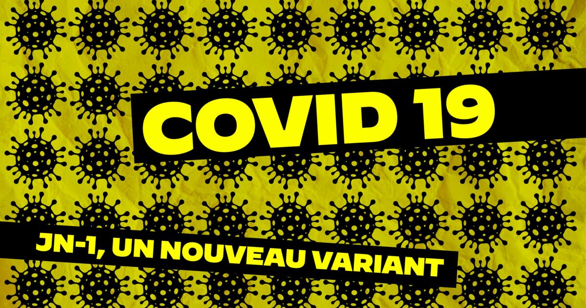 Covid-19 : Le JN.1, un variant plus contagieux mais sans virulence particulière
