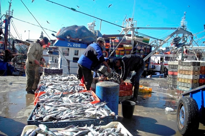 Pêche : Baisse de la valeur des débarquements à fin février