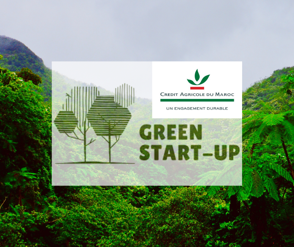 Entrepreneuriat vert : Lancement de la 2ème édition du concours Green Start-up au Maroc