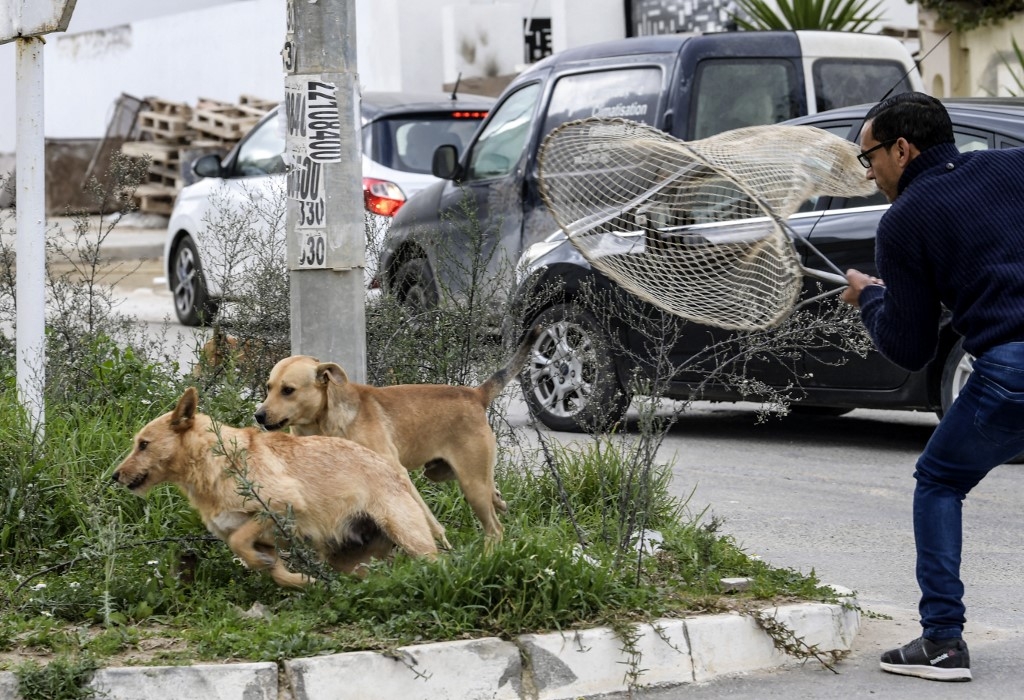 Infos Société: Actualités Quotidiennes de la société marocaine